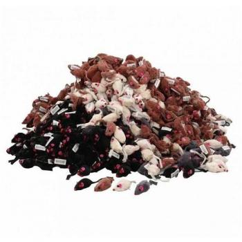 Ebi Ratón Nature de Peluche Pequeño para Gato 5 cm