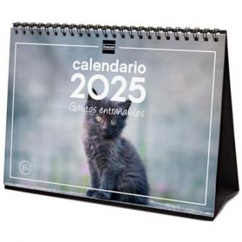 Finocam calendario de sobremesa 2025 con imágenes de gatitos, tamaño 210x150mm, mes vista enero-diciembre (12 meses), en español