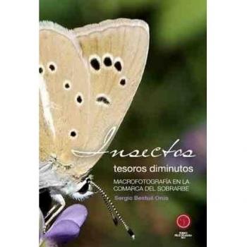 Insectos, tesoros diminutos