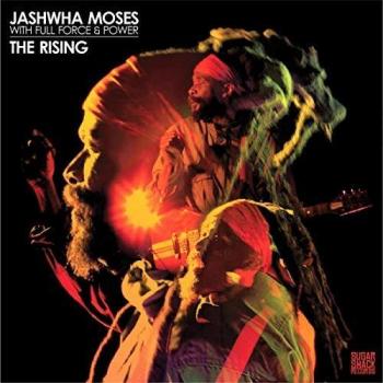 The Rising VINYL