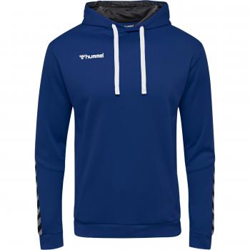Hummel hmlAUTHENTIC Poly Hooded Sweatshirt