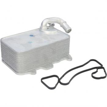 Enfriador de aceite THERMOTEC D4A027TT - Radiador de aceite para motor
