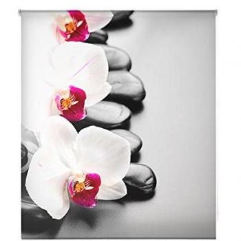 Estor Enrollable Traslúcido Estampado Digital Zen 140x250 cm