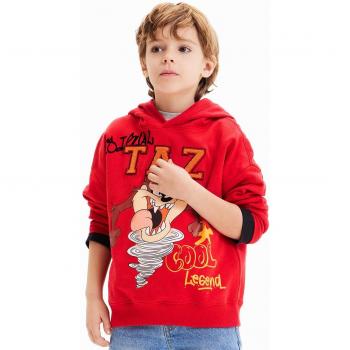 Desigual Boy's Looney Tunes Hoodie Sweatshirt Tasmania