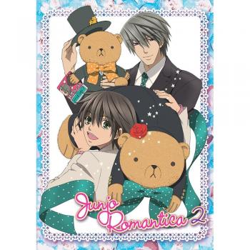Junjo Romantica: Season 2 [DVD] [Region 1] [US Import] [NTSC]