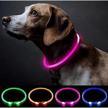 Collar de perro con luz rosa, collar de perro de seguridad personalizado con USB recargable, súper brillante, collar intermitente para perro, 4 colores para perros pequeños, medianos y grandes