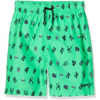 Speedo - Bañador para niño, Niños, 807857C574, Fake Green/Black, Small
