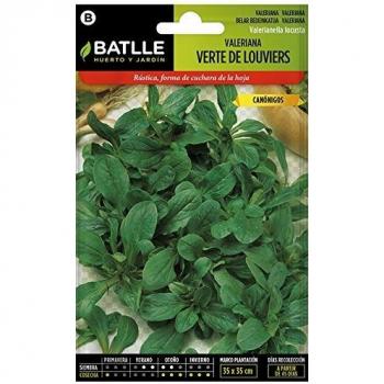Semillas Aromáticas - Valeriana Verte de Louviers - Batlle