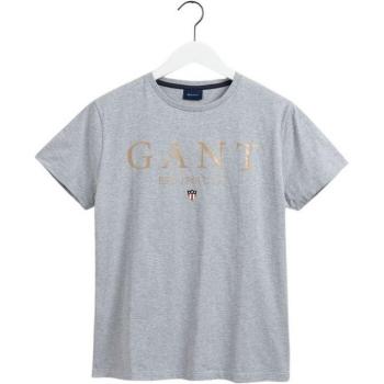 Gant Banner Shield Graphic T-Shirt - Gray XL