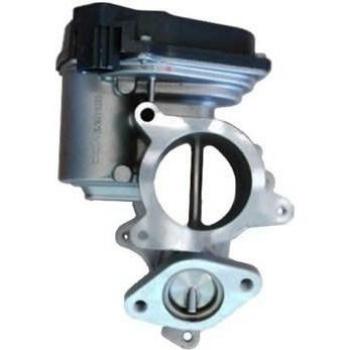 Válvula EGR MAGNETI MARELLI 571822112037