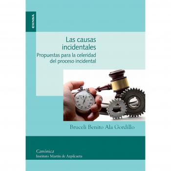 Las causas incidentales. Propuestas para la celeridad del proceso incidental - Bruceli Benito Ala Gordillo