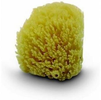Jané - 040103C01 - Esponja Natural Jané 0m+ 2 uds