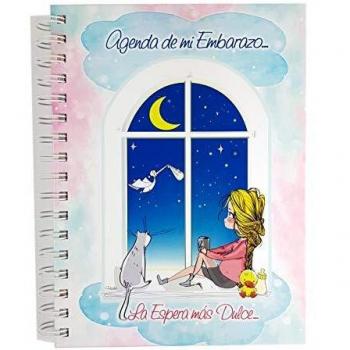 Agenda de mi Embarazo.Erase una vez. para recordar por siempre nuestra historia.Tapa dura.96 paginas