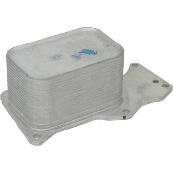 Radiador de Aceite NRF 31793 para BMW: 1 Hatchback, 3 Touring - Enfriador de aceite del motor