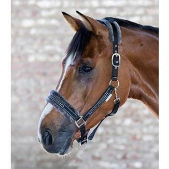 Halfter Elegante Waldhausen con Pelo para Pony - Negro