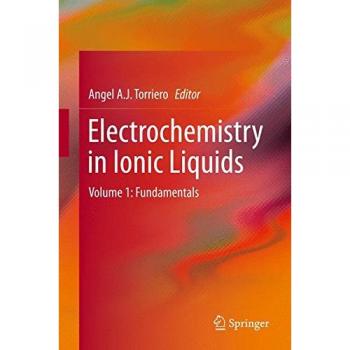 Electrochemistry in Ionic Liquids: Volume 1: Fundamentals
