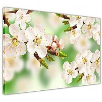 Verde Spring Blossom de flores Art Print Lienzo enmarcado imágenes Deco Arte de la pared, lona madera, Verde, 09- A0 - 40 X 30