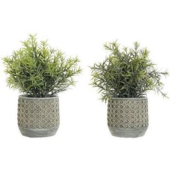 Planta Decorativa de Resina Verde 12x12x30 cm (2 Piezas) DKD Home Decor