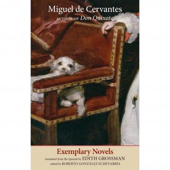 Exemplary Novels