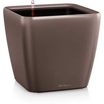 Lechuza 16161 Quadro LS-Macetero de poliresina con sustrato, Espresso metálico, H33 L35 W35 cm