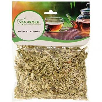 Botanicum Hinojo Planta 40 Gr Bolsa 40 Gramos 400 g