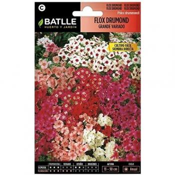 Semillas de Flores - Flox Drumond flor grande variada - Batlle