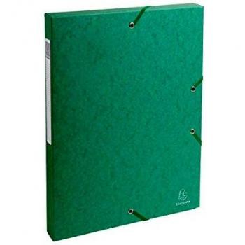 Exacompta 50303E - Carpeta de proyecto con goma, color verde