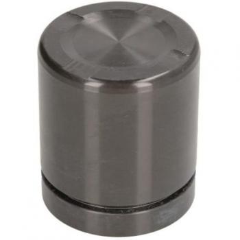 Émbolo de pinza del freno AUTOFREN SEINSA D025553, Trasero