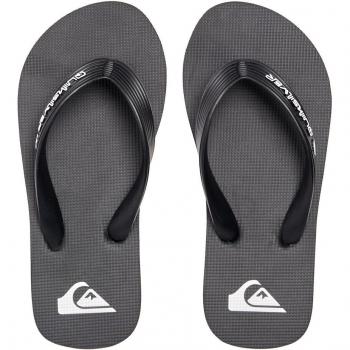 Chanclas de niños Molokai Core Quiksilver