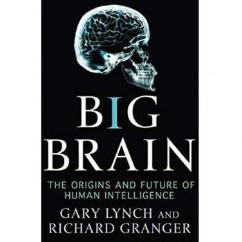 Big Brain: The Origins and Future of Human Intelligence