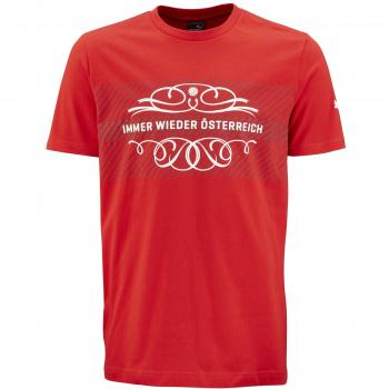 Puma – Fan Camiseta de Niños, EM de 2016, Austria, Koller de Elf, Alaba, arnautovic, harnik, rojo, 140