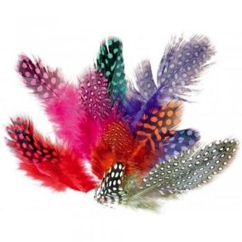 Plumas de Pintada - Colores Variados - Paquete de 10 g