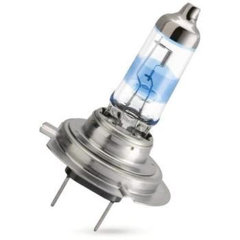 Philips 13864 CP Lamp Pilot of Enrolment