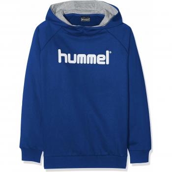 Hummel Sudadera Con Capucha Go Logo - Camisola com capuz para criança Hummel Cotton Logo