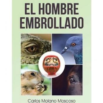 El hombre embrollado