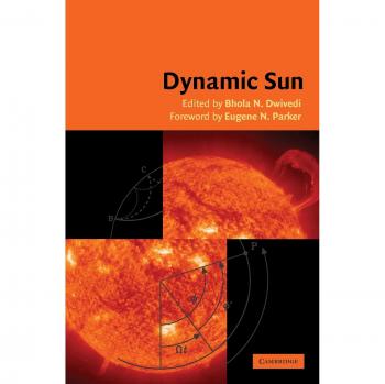 Sombrilla Dinámica Solar