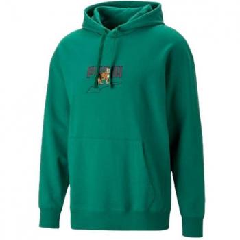 Puma Downtown Graphic Hoodie Tr, Vine, Male, Green, Size: L