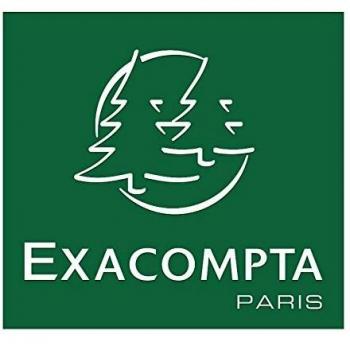 Exacompta 17104H - Carpeta con goma, A4, color beige