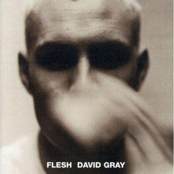 Flesh - GRAY, DAVID
