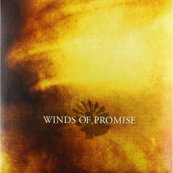 Winds of promise clear vinyl vinyl lp vinilo