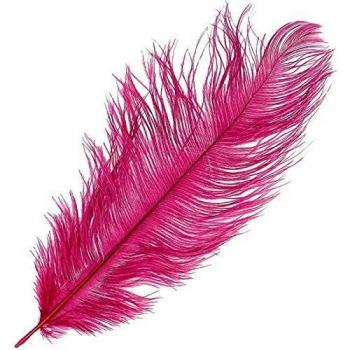 Artemio Pluma de Avestruz-Rojo carmín, 30-35 cm