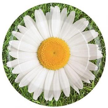 SANTEX 4789-10, Sachet de 10 assiettes de 22,5 cm collection Marguerite