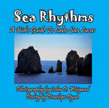 Guía Infantil de Cabo San Lucas - Ritmos del Mar