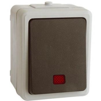 Interruptor Luminoso Estanco 10A/250Vac IP44