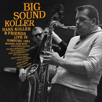 Large Vinyl Sound Koller