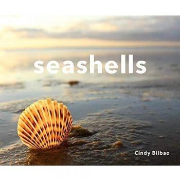 Seashells