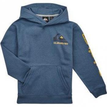 Quiksilver - Sudadera Deportiva Con Capucha Omni Logo Hood Youth