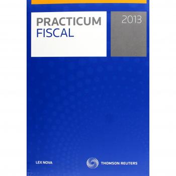 Practicum Fiscal 2013