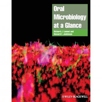 Concise Oral Microbiology Guide: Key Concepts and Visuals