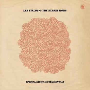 Special Night Instrumentals Vinyl Edition